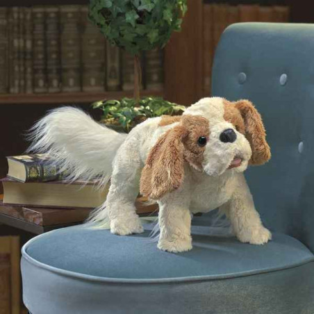 Marionnette chien cavalier king charles Folkmanis -3096