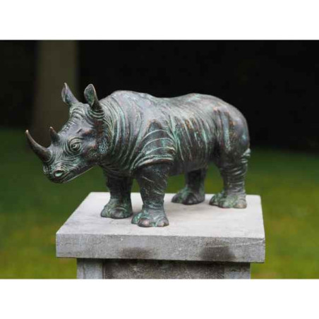 Statue en bronze rhinoceros thermobrass -an0684brw-vi