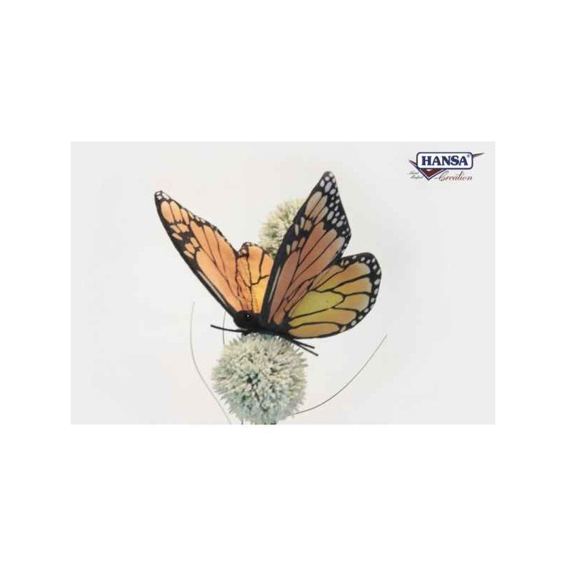 Papillon monarque 8/14/13cml Anima  -6551