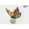 Animaux de la forêt Papillon monarque 8/14/13cml peluche animalière -6551