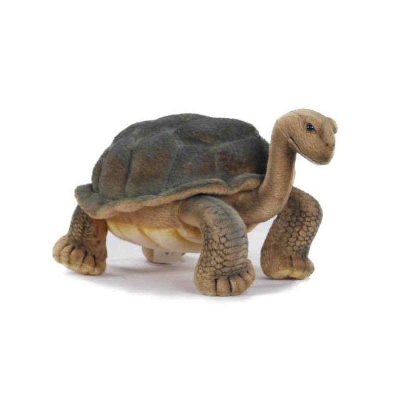 Animaux de la forêt Tortue galapagos 16cmh/30cml peluche animalière -6461