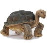 Animaux de la forêt Tortue galapagos 16cmh/30cml peluche animalière -6461