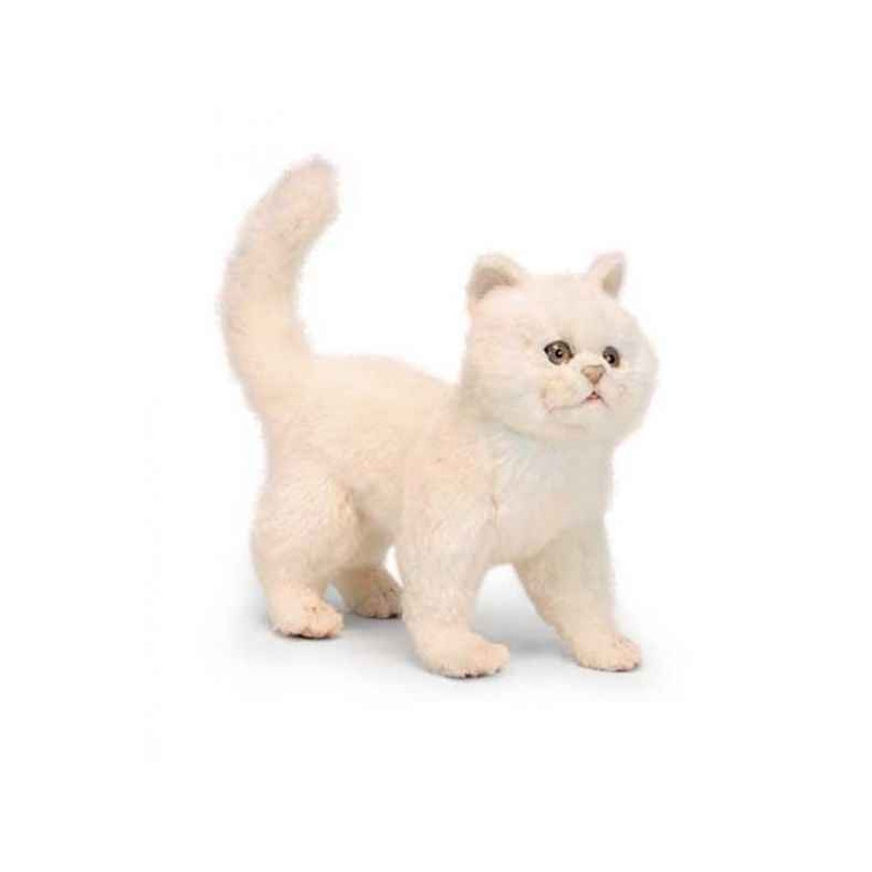 Animaux-Bois-Animaux-Bronzes.com propose Chat blanc 4 pattes 29 cmh peluche animalière -6434