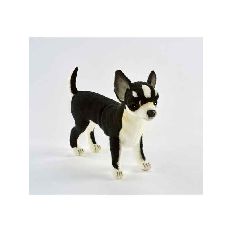 Animaux-Bois-Animaux-Bronzes propose Chien Chihuahua noir 24cmh/25cml peluche animalière -6367