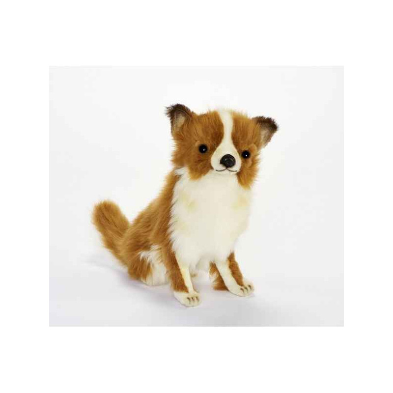 Animaux-Bois-Animaux-Bronzes propose Chien Chihuahua poils longs assis 14cmh/31cml peluche animalière -6502