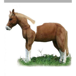 Cheval bicolore 150cml Anima -3772