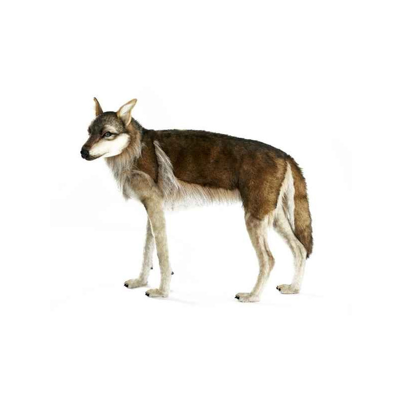Animaux de la forêt Loup 4 pattes 105cml peluche animalière -6726