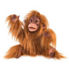 Animaux sauvage Bébé orang outan peluche marionnette 