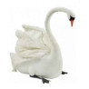 Cygne blanc 125cmh Anima  -4610