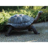 Sculpture tortue galapagos en bronze thermobrass -b1242