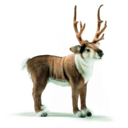 Animaux de la forêt Renne 60cm peluche animalière 5373