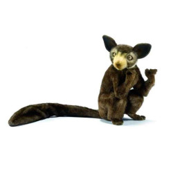 Animaux sauvage Aye aye (tete articulee) 20cm peluche animalière 5166