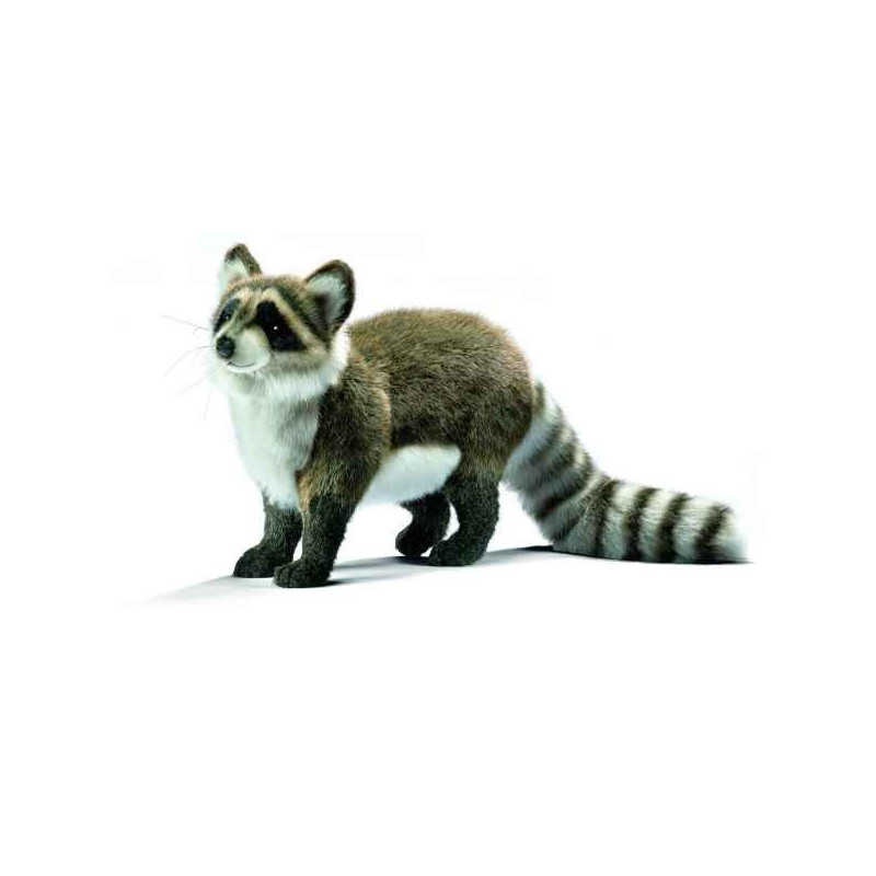 Animaux de la forêt Raton laveur 45cm peluche animalière 5181