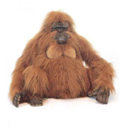 Animaux sauvage Orang outang 55cmh peluche animalière -3479