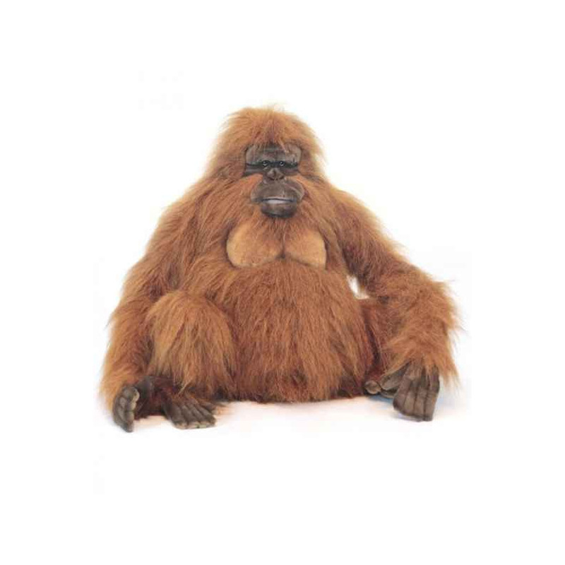 Animaux sauvage Orang outang 55cmh peluche animalière -3479