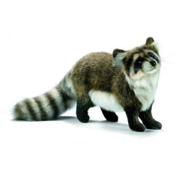 Animaux de la forêt Raton laveur 35cm peluche animalière 5238