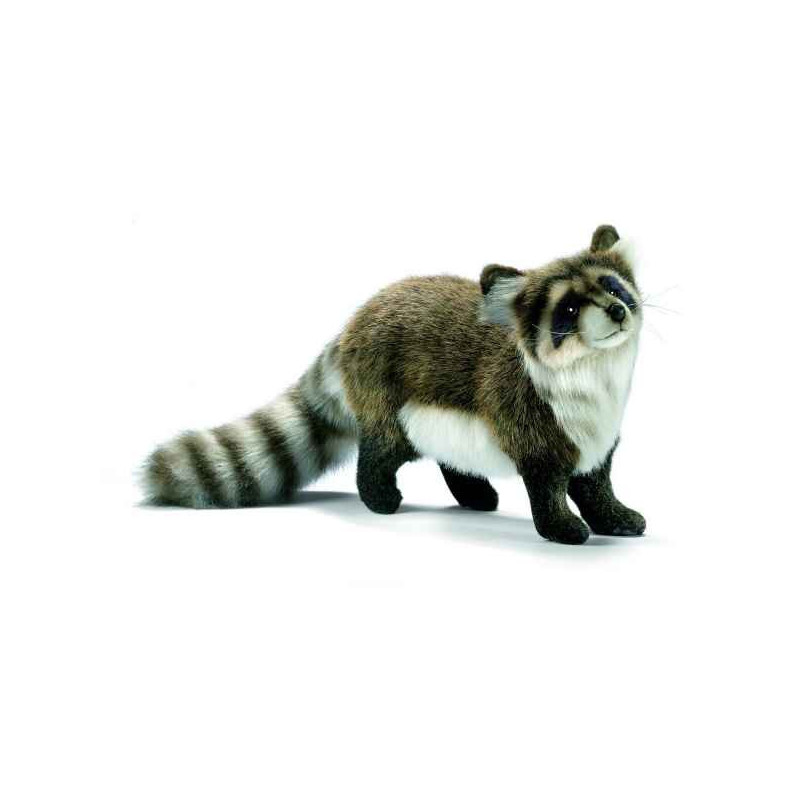 Animaux de la forêt Raton laveur 35cm peluche animalière 5238