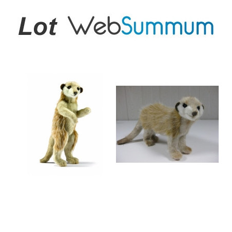Animaux-Bois-Animaux-Bronzes propose Chien Lot 2 peluches animalières suricate et chien de prairie -LWS-414