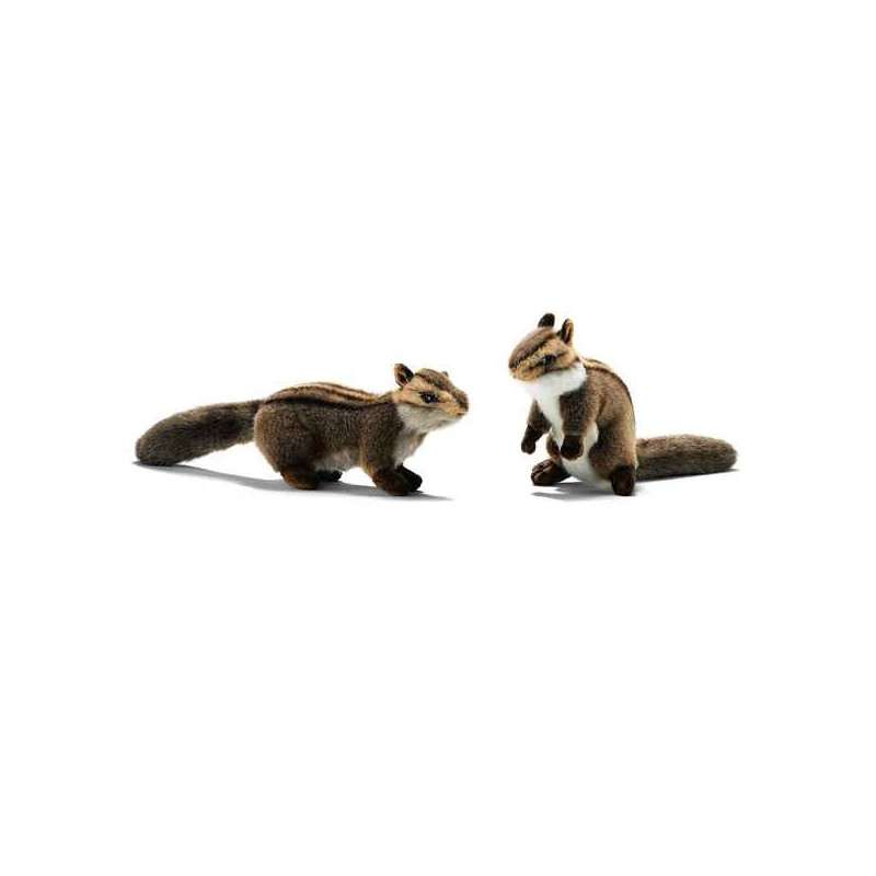 Animaux de la forêt Ecureuil du japon (à 4 pattes + dressé) 19cm peluche animalière 3089