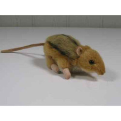 Animaux sauvage Peluche animalière Possum peluche animalière 3819