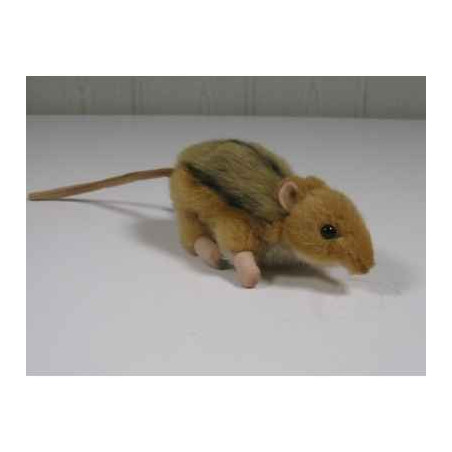 Animaux sauvage Peluche animalière Possum peluche animalière 3819