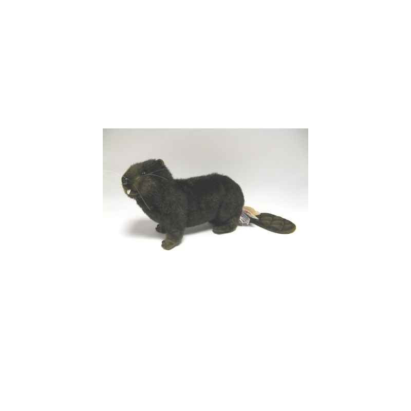 Animaux de la forêt Peluche animalière Castor 35cm peluche animalière 4274