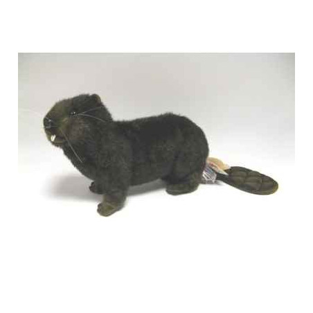 Animaux de la forêt Peluche animalière Castor 35cm peluche animalière 4274