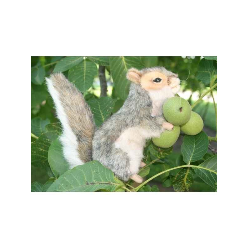 Animaux de la forêt Ecureuil gris dresse 22cm peluche animalière 5676