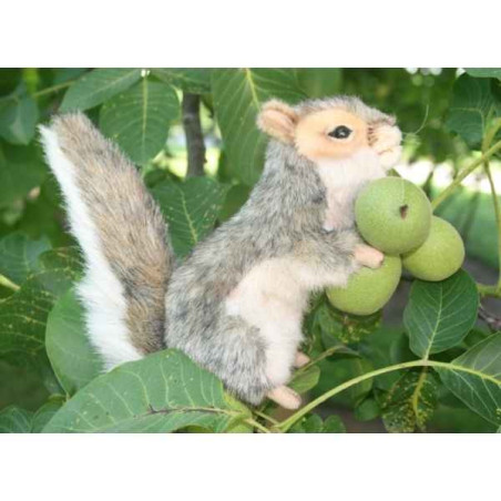 Animaux de la forêt Ecureuil gris dresse 22cm peluche animalière 5676