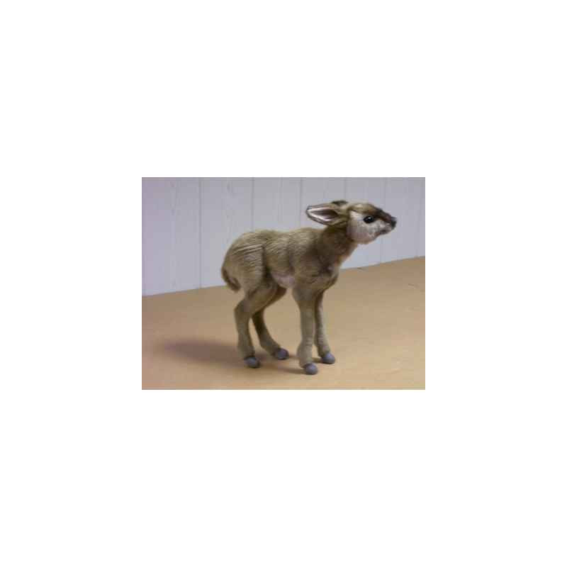 Animaux sauvage Peluche animalière Bushback kid 31cm peluche animalière 4935