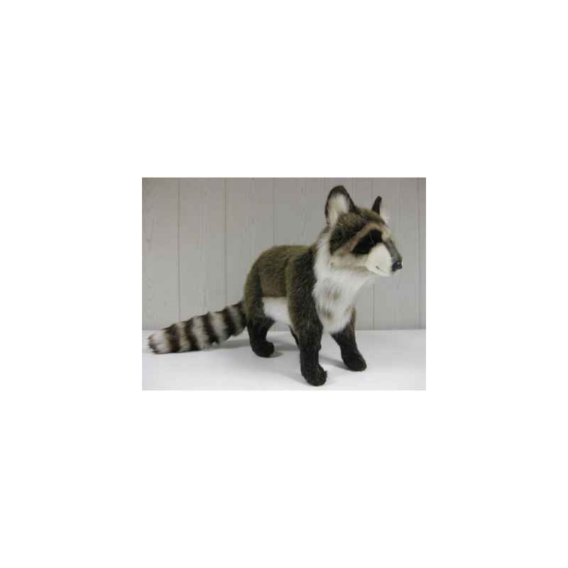 Animaux de la forêt Peluche animalière Raton laveur 35cm peluche animalière 5178