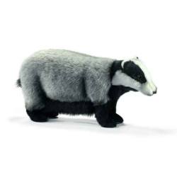 Animaux de la forêt Blaireau 36cm peluche animalière 5574