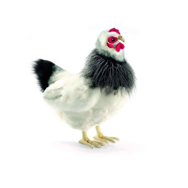 Décoration OiseauxPoule noire et blanche 23cm peluche animalière 5620 Anima