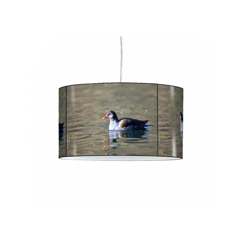 Décoration Luminaire Animaux Lampe suspension oiseaux foulque -OI1332SUS