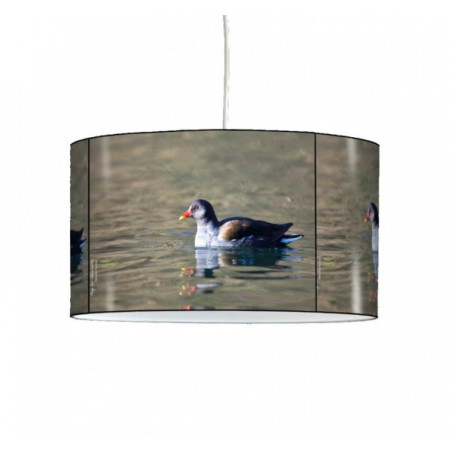 Lampe suspension oiseaux foulque -OI1332SUS