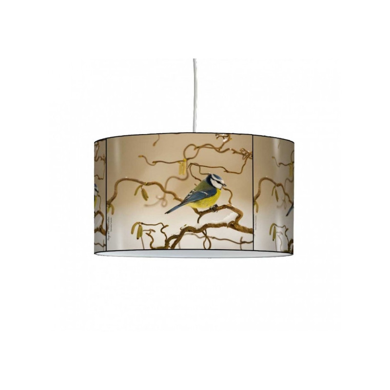 Décoration Luminaire Animaux Lampe suspension oiseaux mésange -OI1406SUS