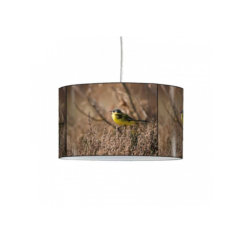 Décoration Luminaire Animaux Lampe suspension oiseaux mésange printanière -OI1333SUS
