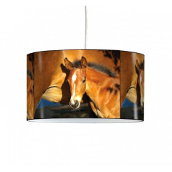 Décoration Luminaire Animaux Lampe suspension collection nos amis poulain -NOA1318SUS
