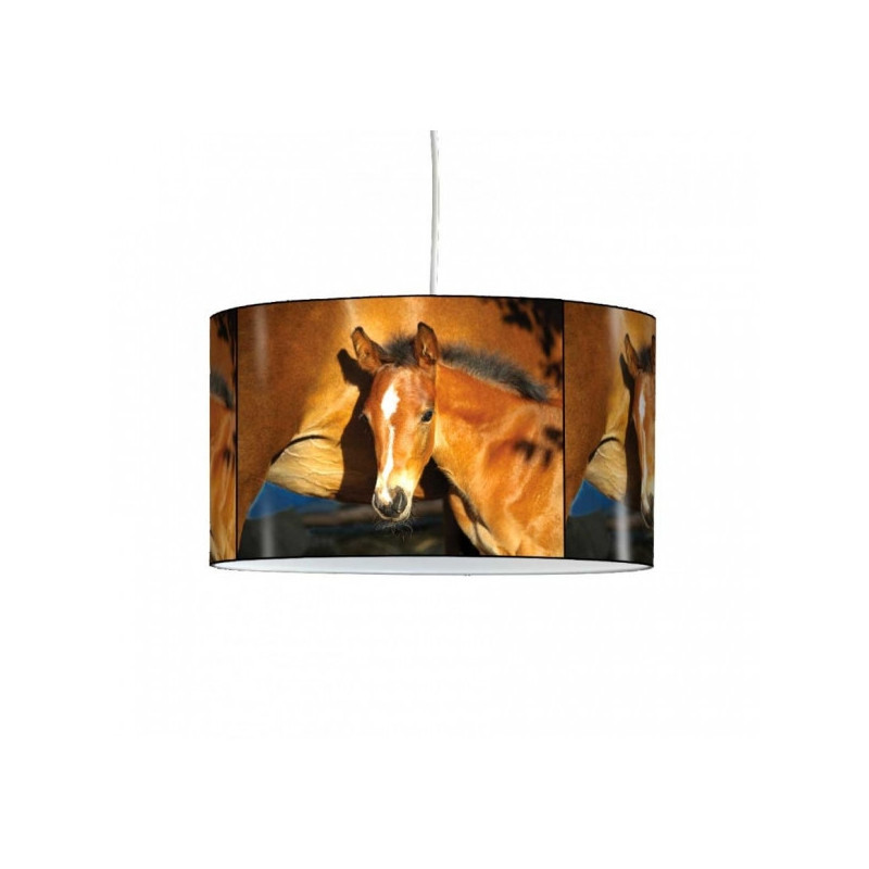 Décoration Luminaire Animaux Lampe suspension collection nos amis poulain -NOA1318SUS