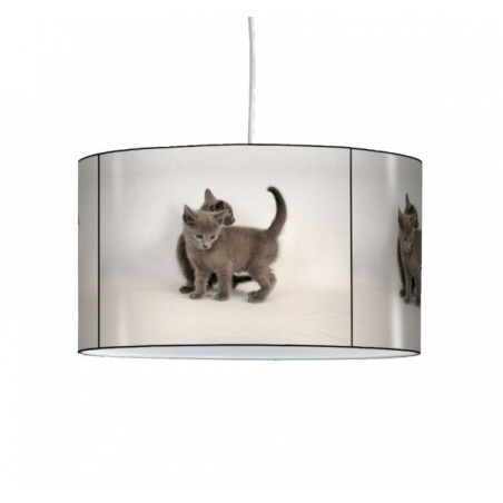 Décoration Luminaire Animaux Lampe suspension collection nos amis chatons -NOA1309SUS