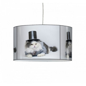 Lampe suspension collection nos amis chat chapeau -NOA1308SUS