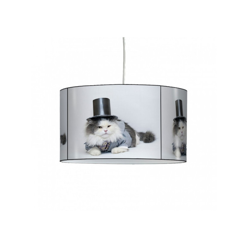 Décoration Luminaire Animaux Lampe suspension collection nos amis chat chapeau -NOA1308SUS