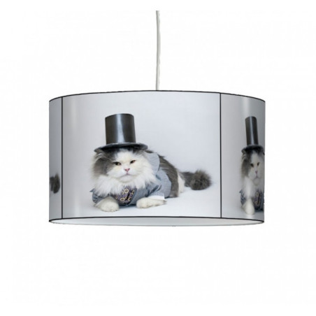 Décoration Luminaire Animaux Lampe suspension collection nos amis chat chapeau -NOA1308SUS