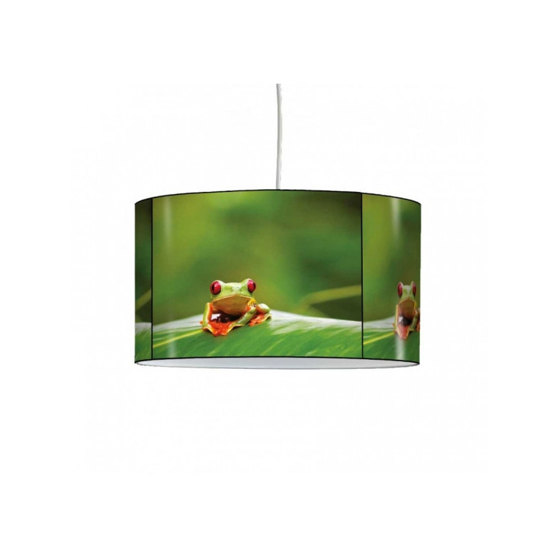 Lampe suspension nature grenouille -NA1213SUS