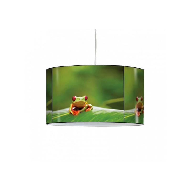 Décoration Luminaire Animaux Lampe suspension grenouille -NA1213SUS