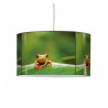 Lampe suspension nature grenouille -NA1213SUS