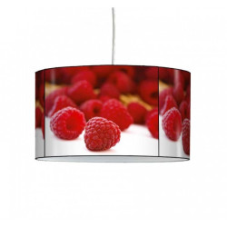 Décoration Luminaire Animaux Lampe suspension nature framboises -NA1218SUS