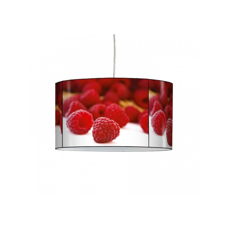Décoration Luminaire Animaux Lampe suspension nature framboises -NA1218SUS