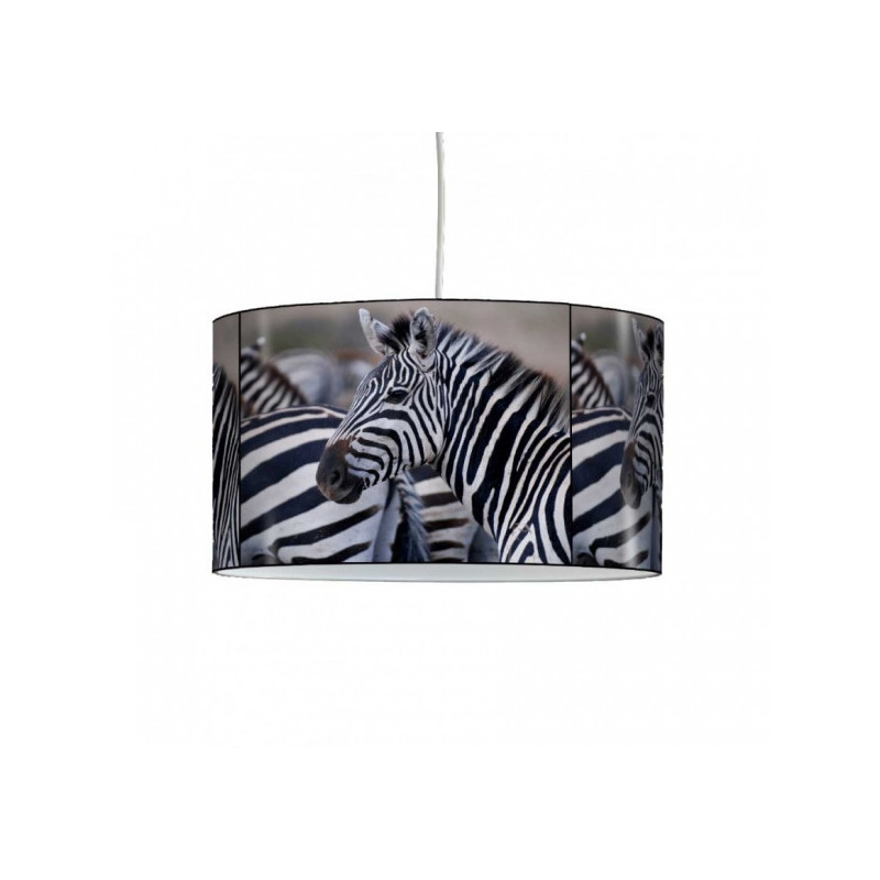 Décoration Luminaire Animaux Lampe suspension animaux sauvages zèbres -AS1211SUS