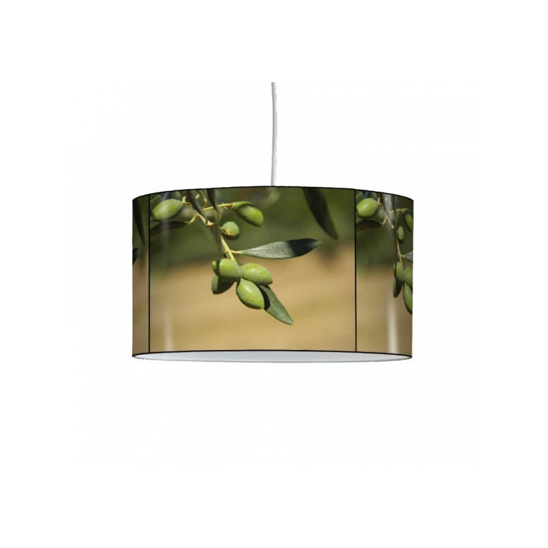 Décoration Luminaire Animaux Lampe suspension sud branche et olives -SU1215SUS